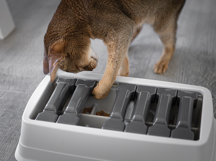 Interactive puzzle feeder bowl for cat and dog, multi-levels