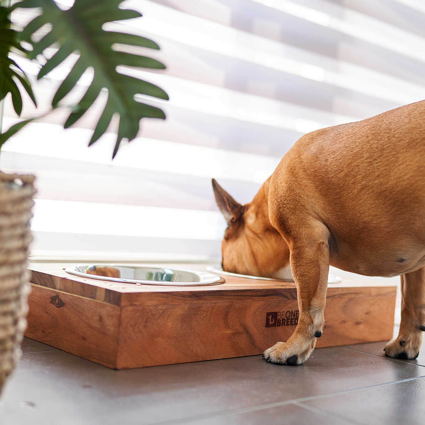 Bol double avec support ajustable