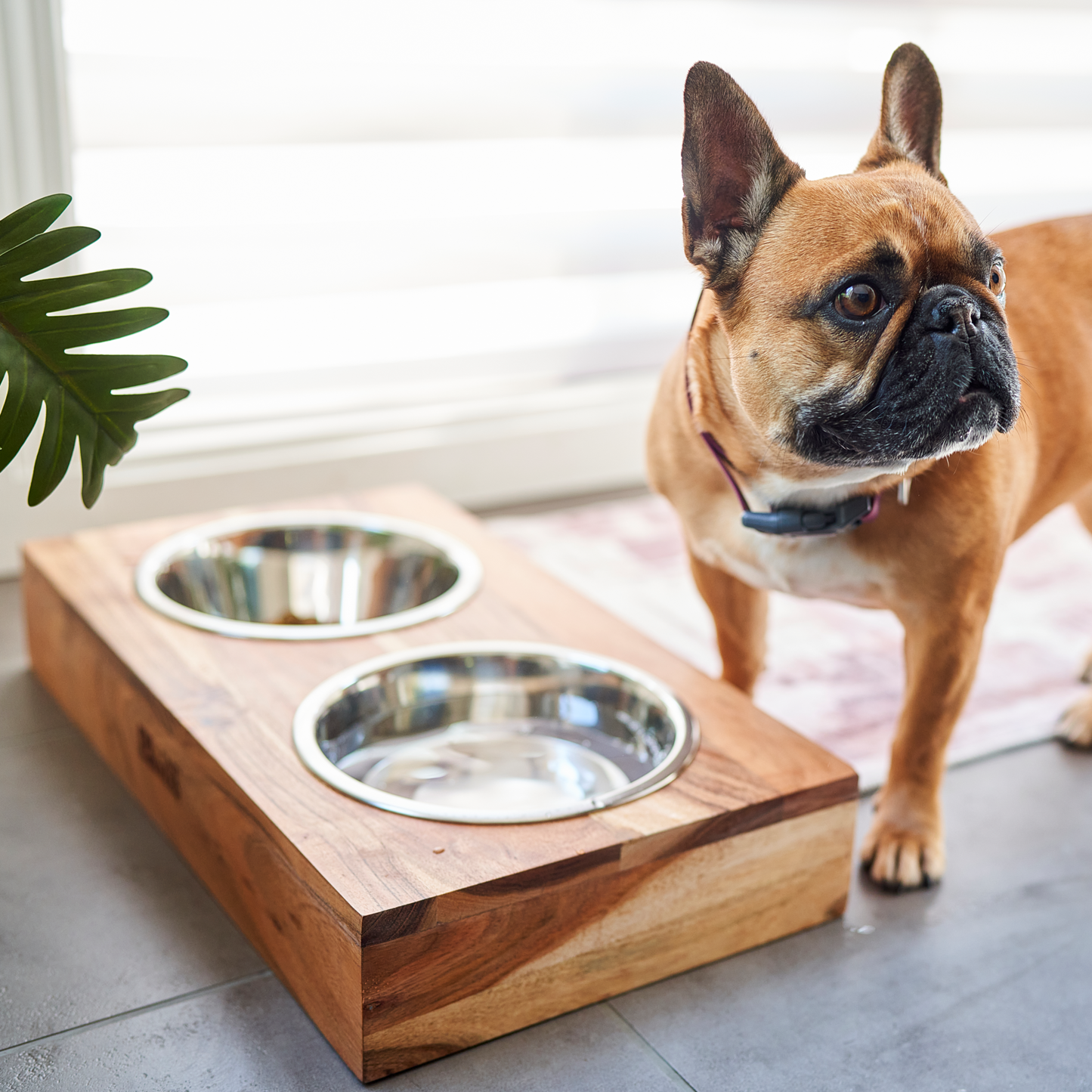 Bol double avec support ajustable