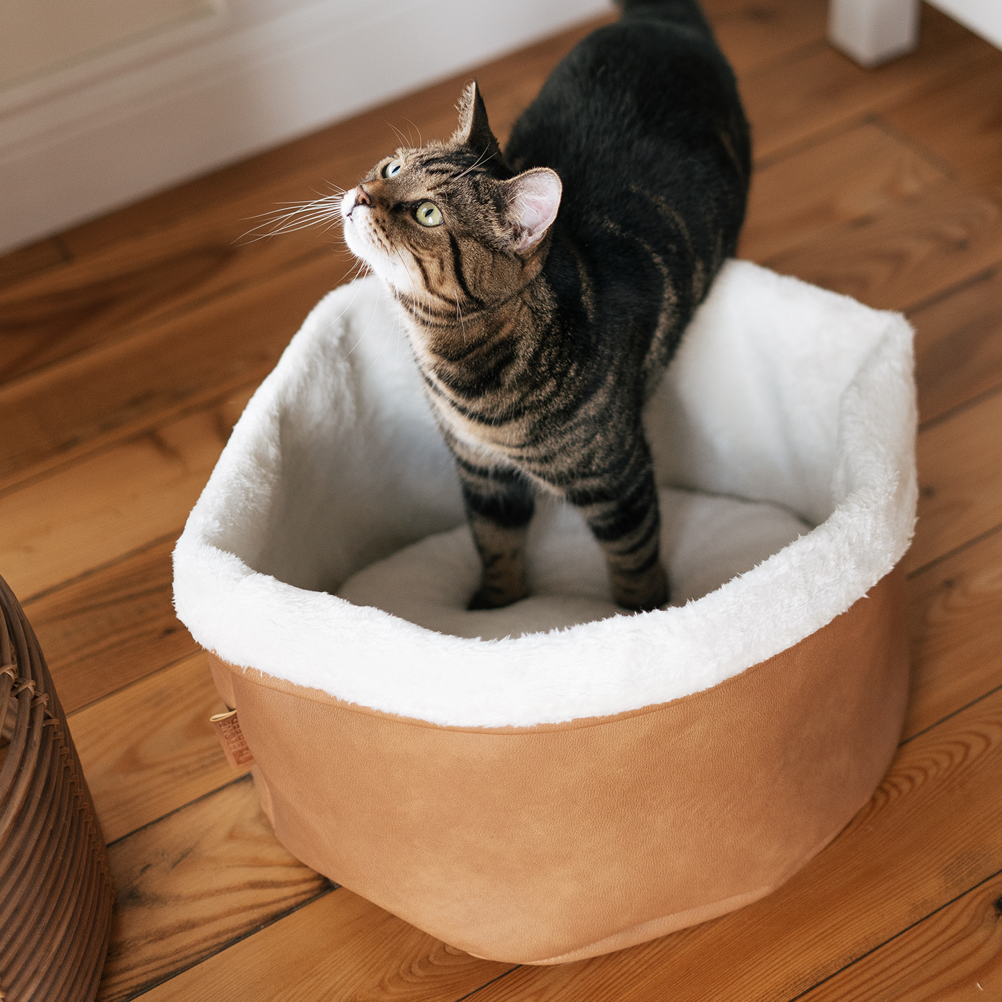 Leather 2024 cat bed