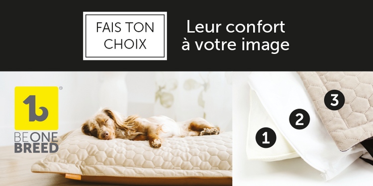 Build Your Custom Bed