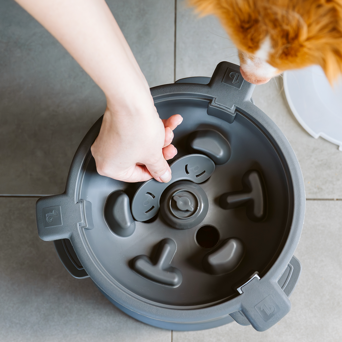 Intellidog interactive dog bowl