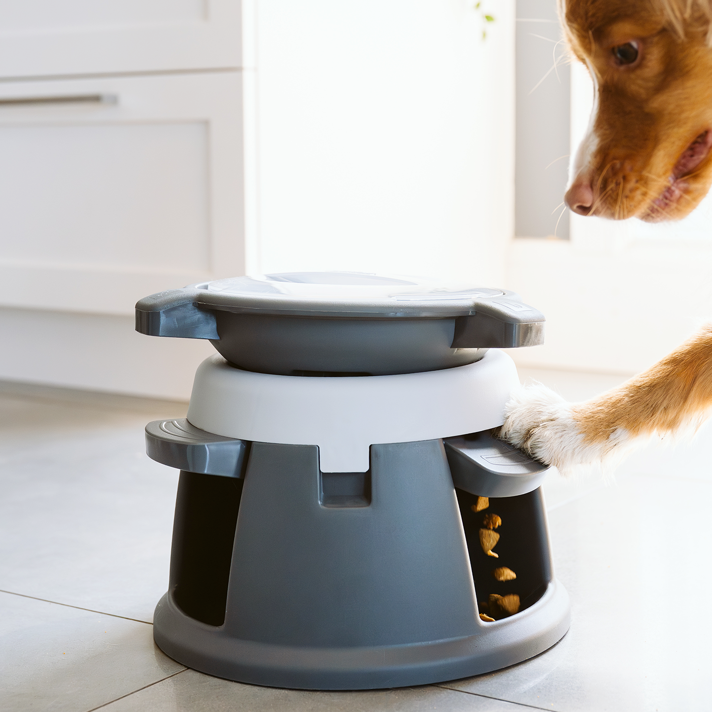 Intellidog interactive dog bowl