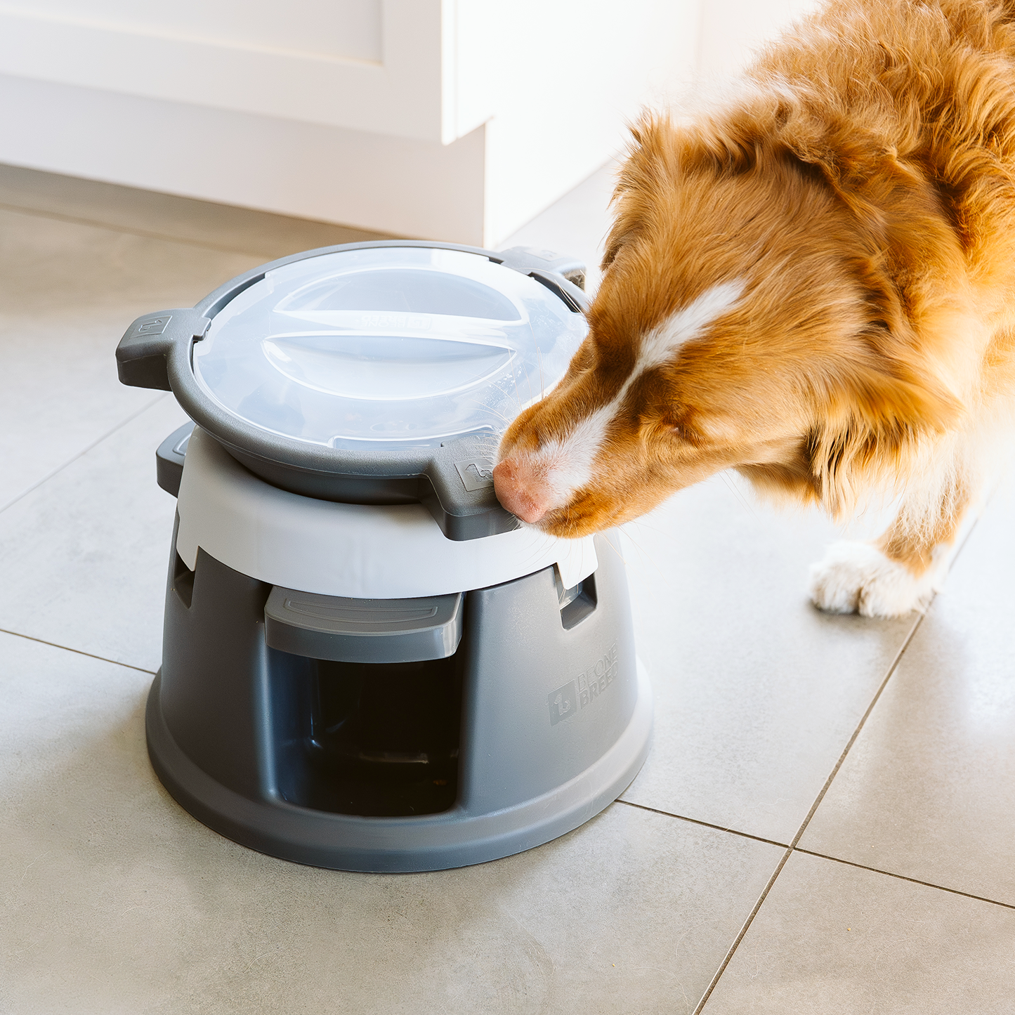 Intellidog interactive dog bowl