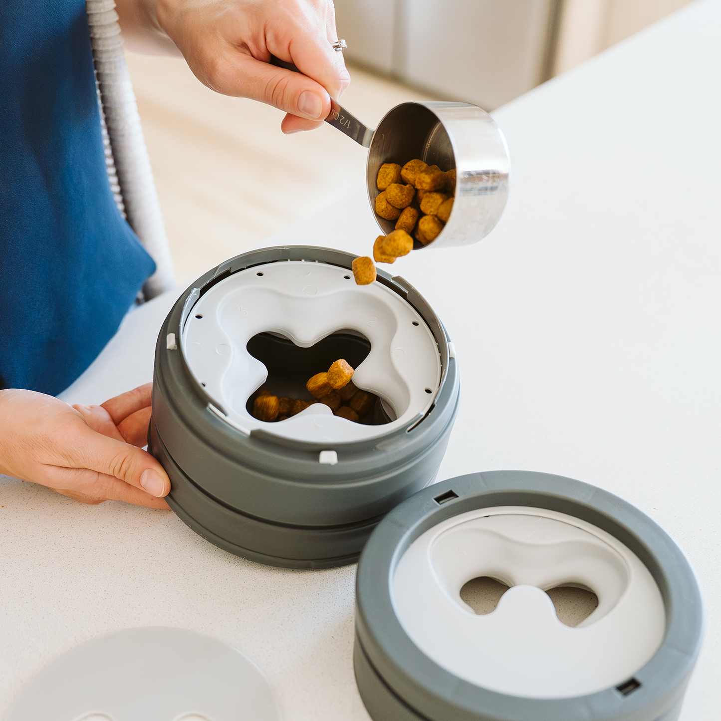  Intellikatt bol interactif primé pour chat