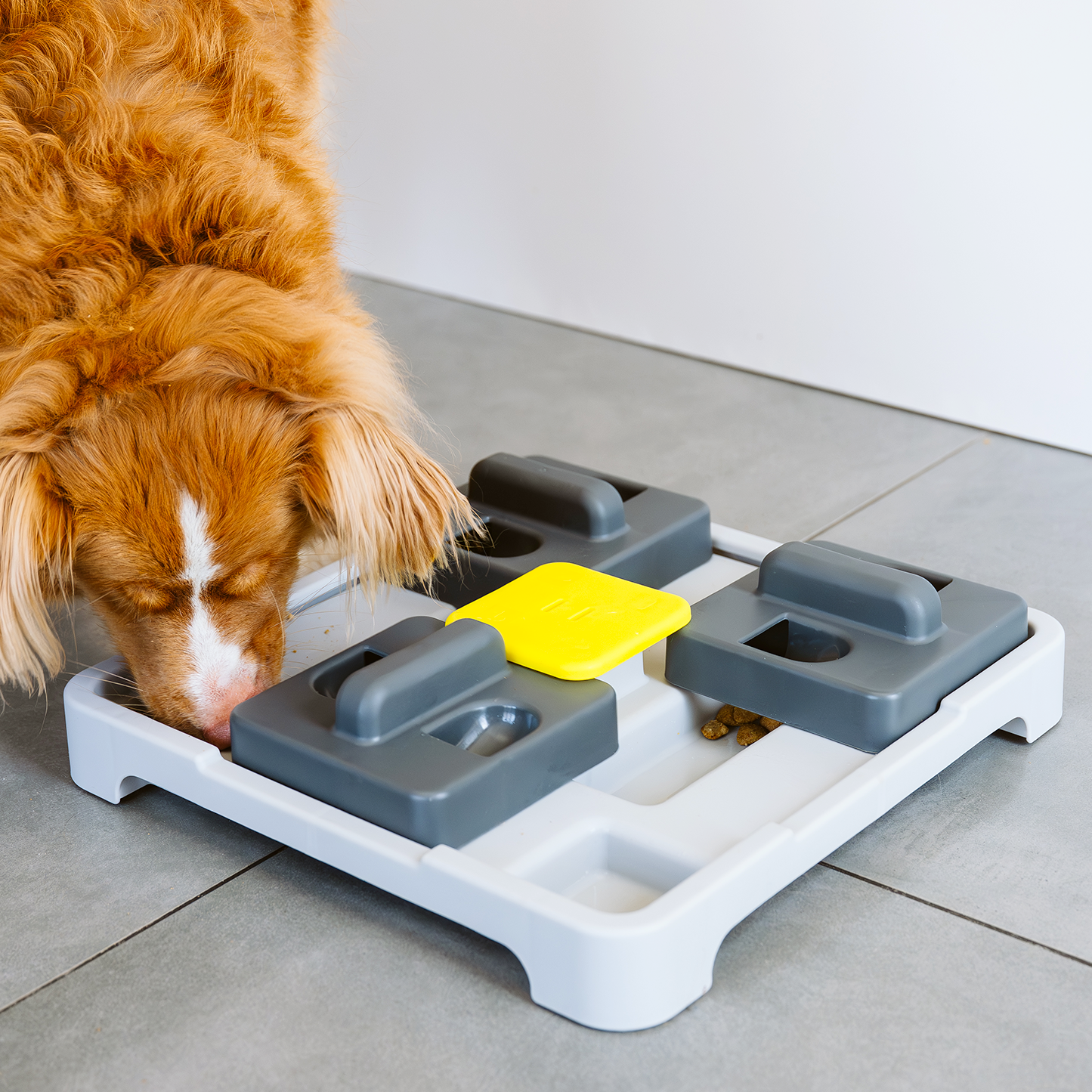 Push and find interactive dog Bowl