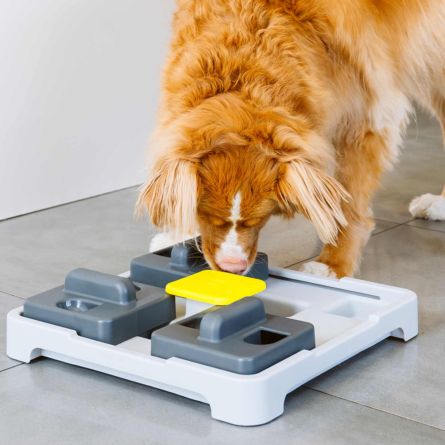 Push and find interactive dog Bowl