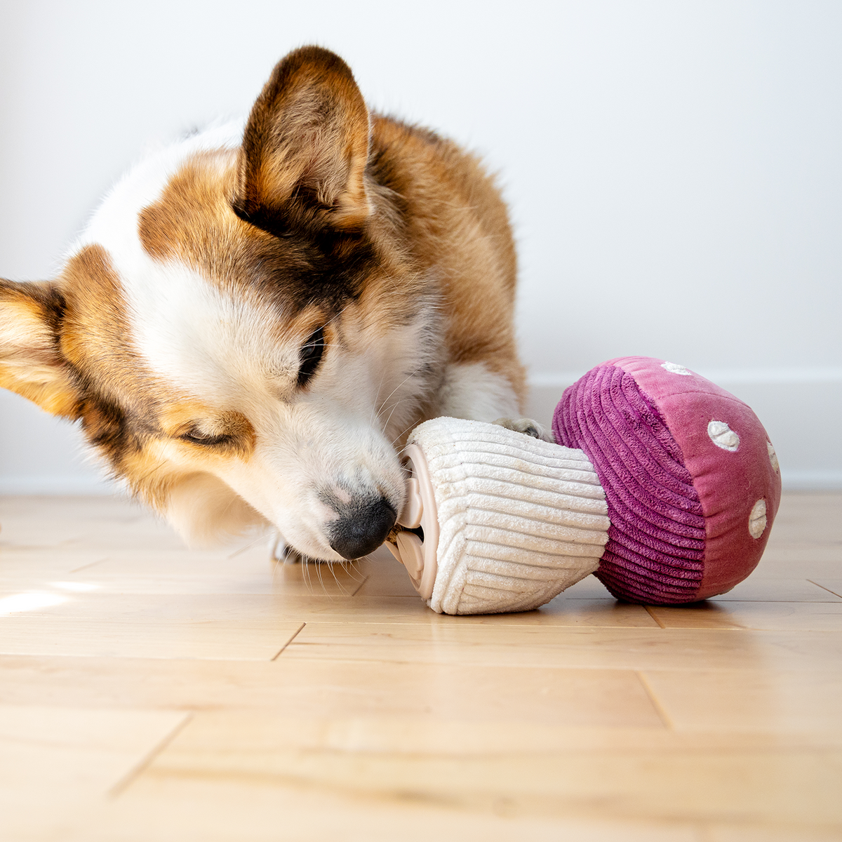 Dog plush BeOneBreed