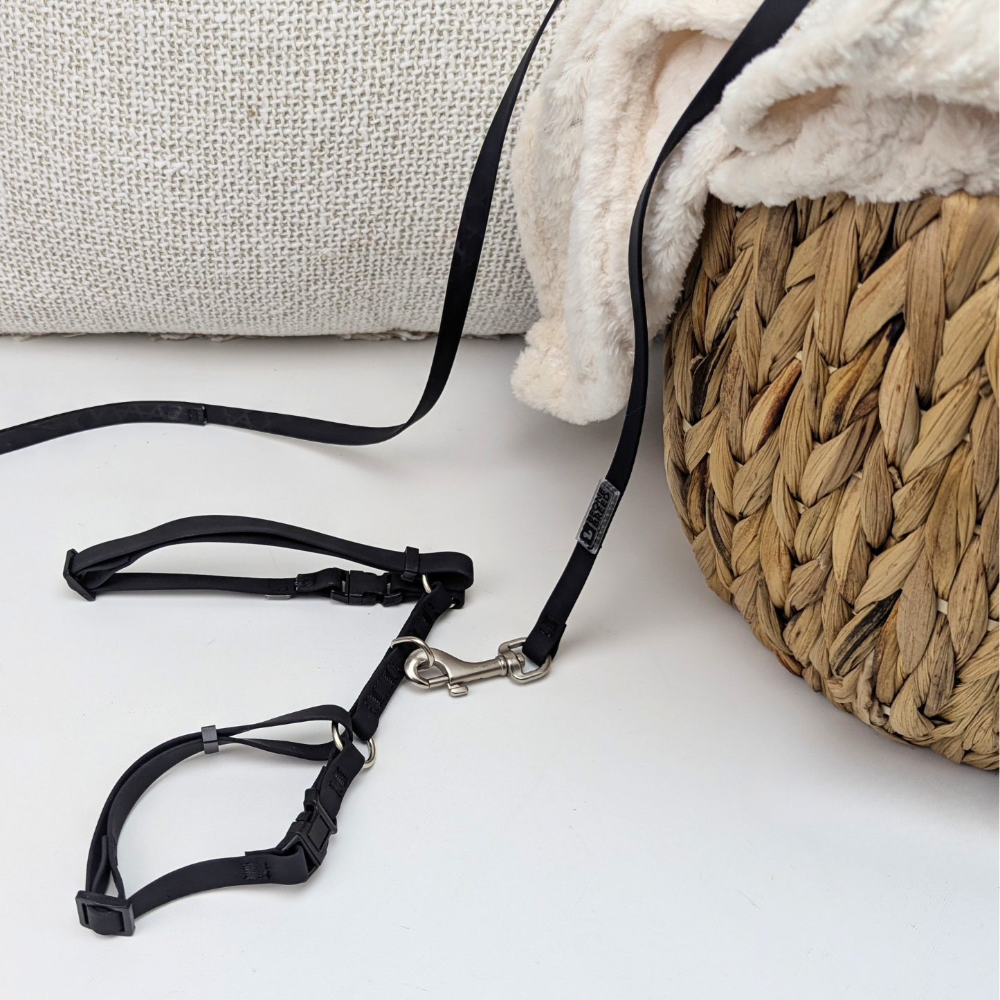 Ensemble harnais et laisse pour chat en silicone