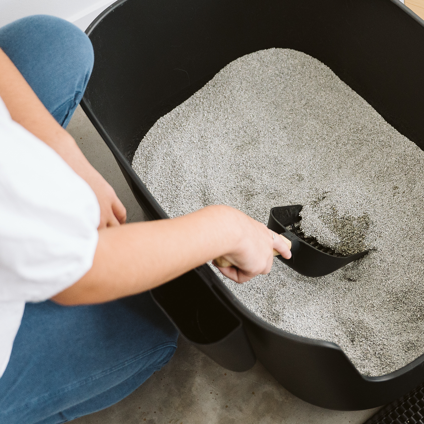 Large luxury litter box