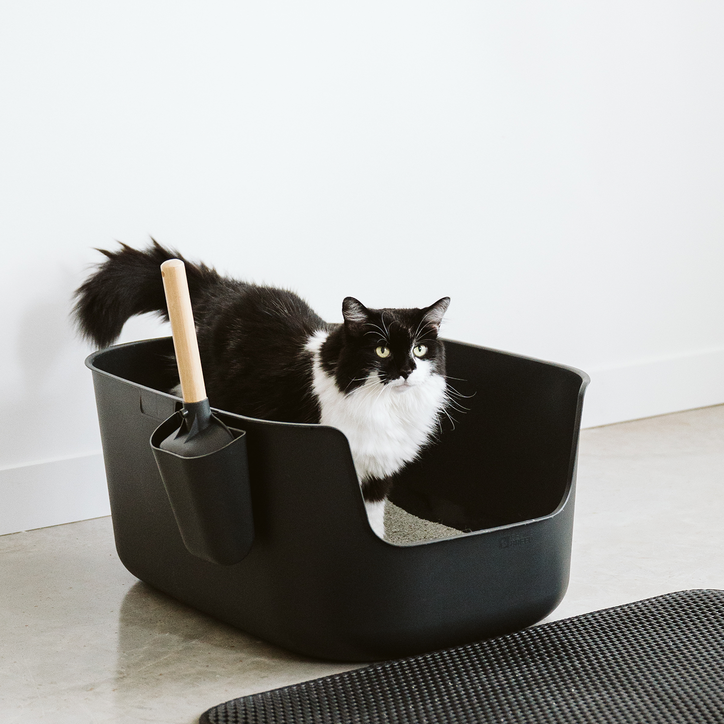 Large luxury litter box