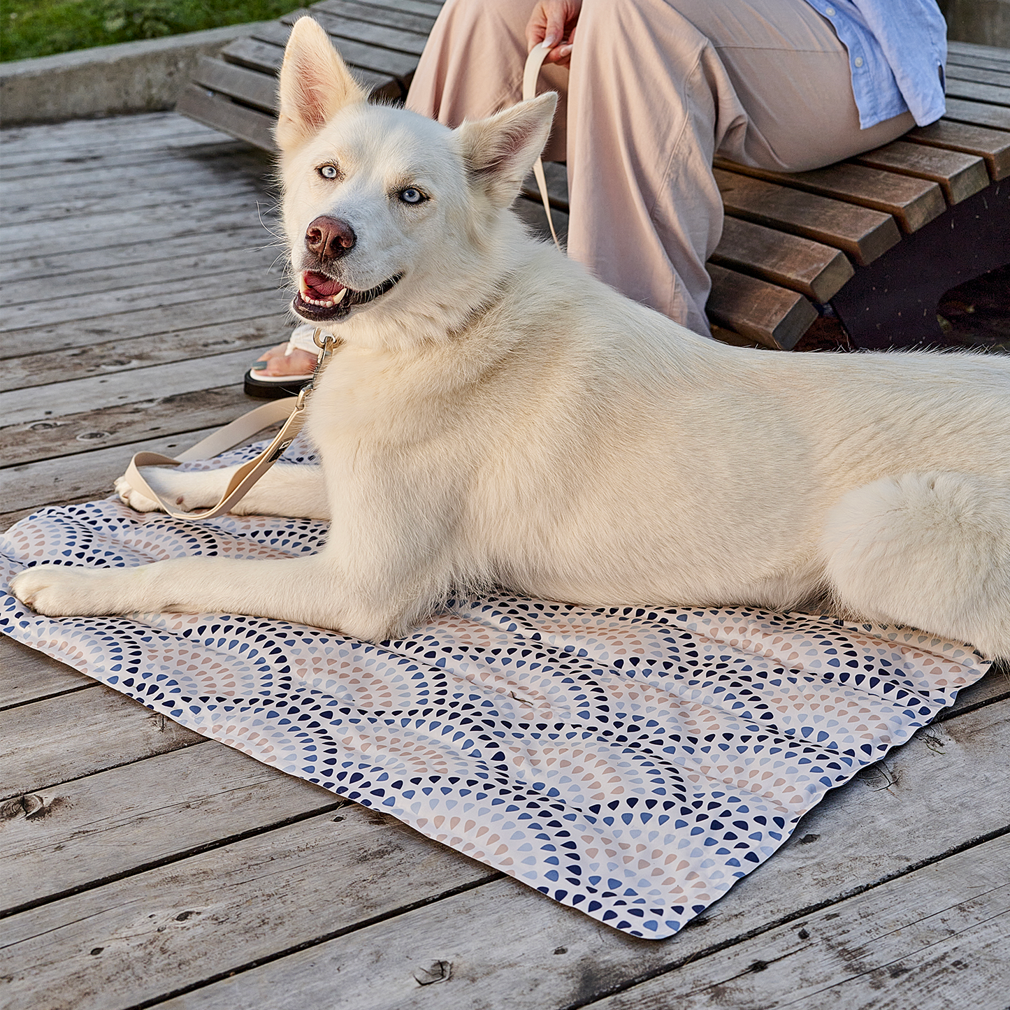Self-cooling liquid gel cat and dog mat, 2 sizes