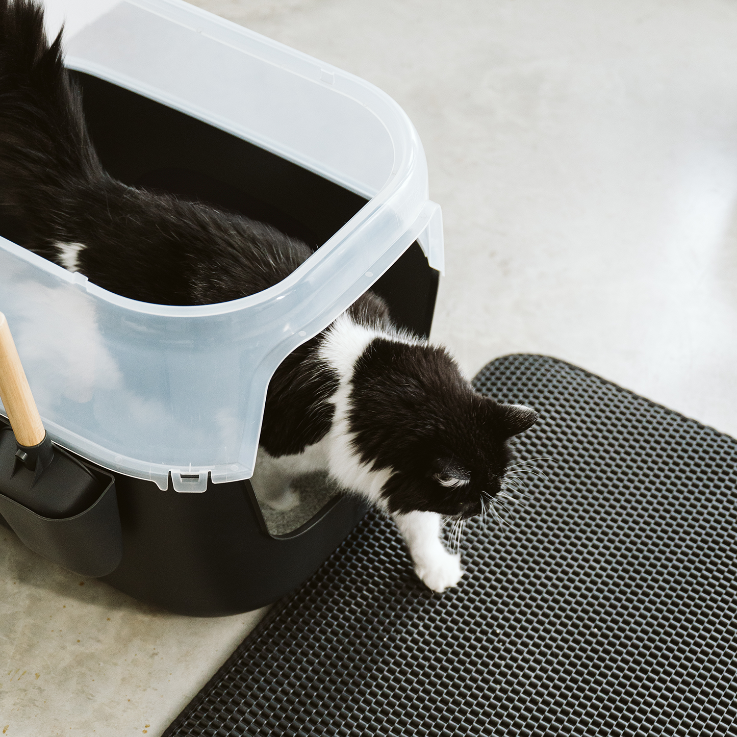 Large black luxury litter box with bamboo top