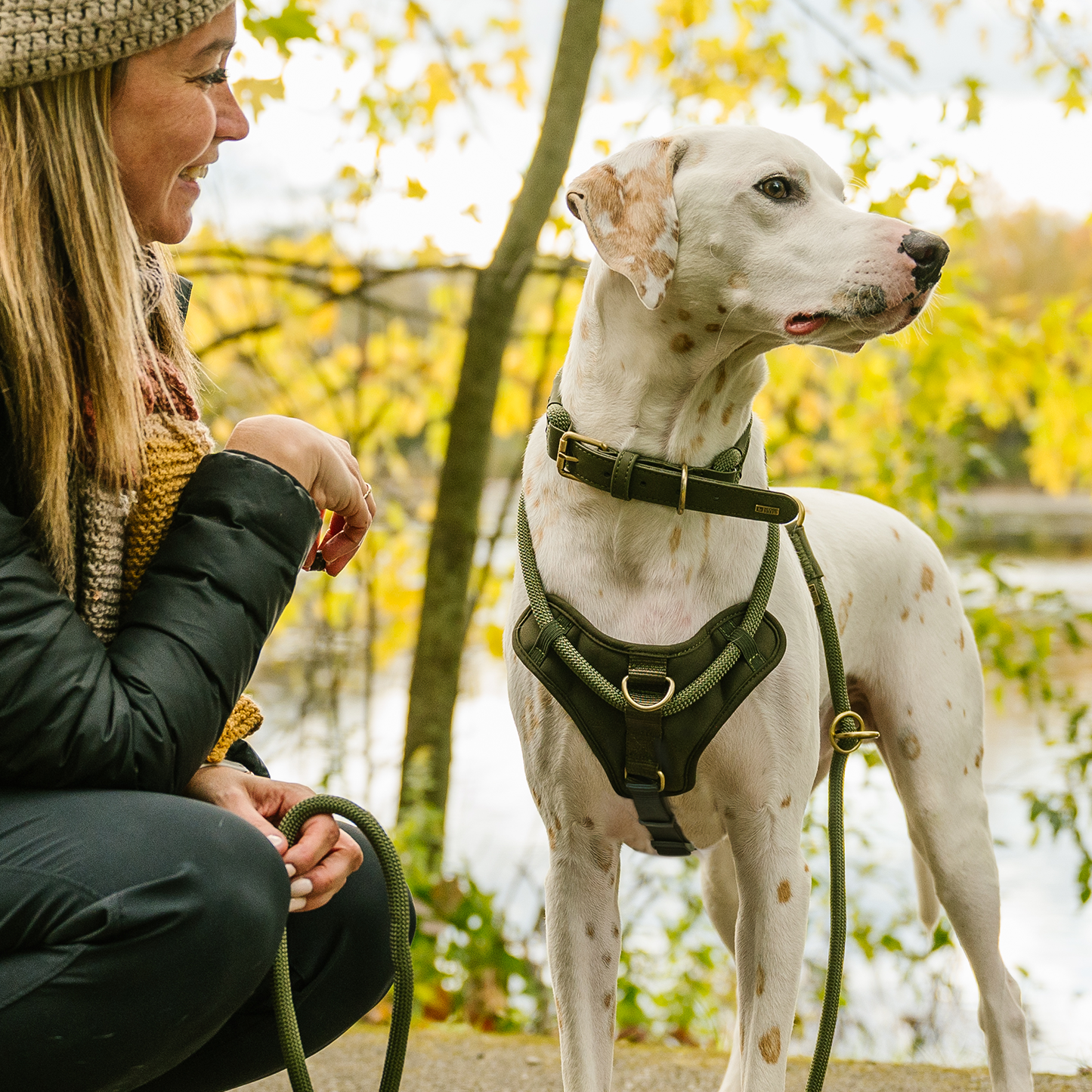 Luxury rope dog collar