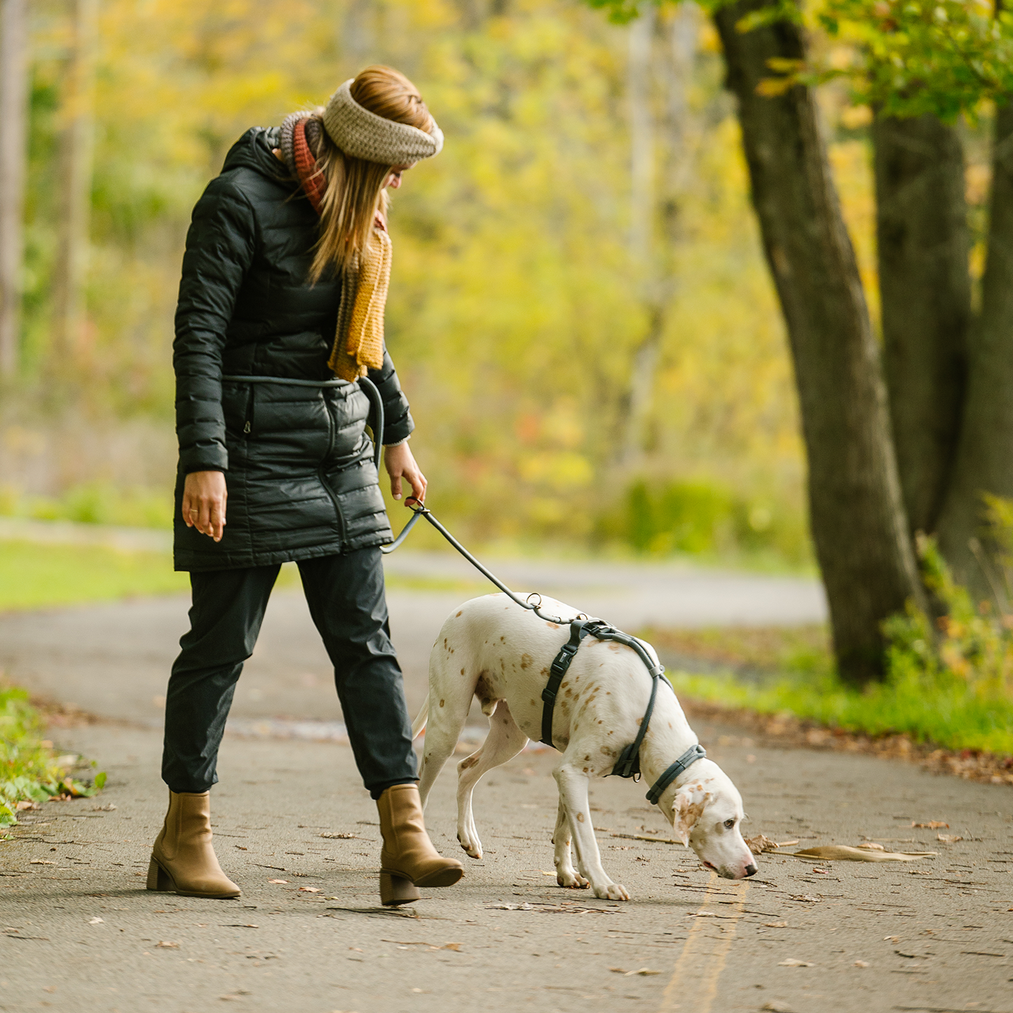 Luxury rope leash