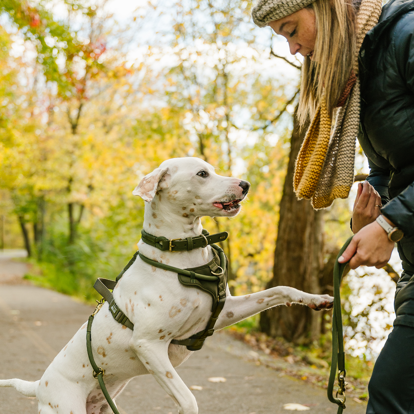 Luxury rope leash