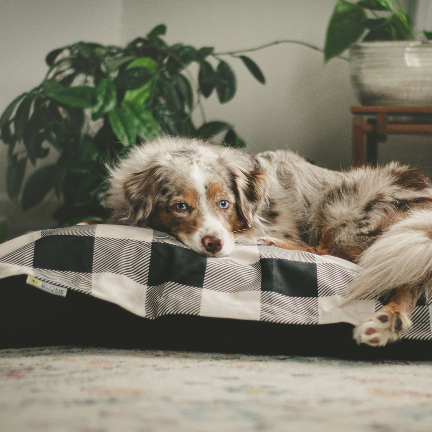 My pillow pets clearance bed bath beyond