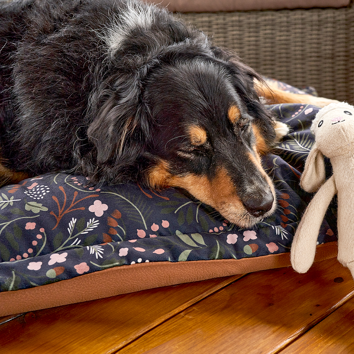 Coussin nuage en mousse mémoire pour chien, 2 tailles