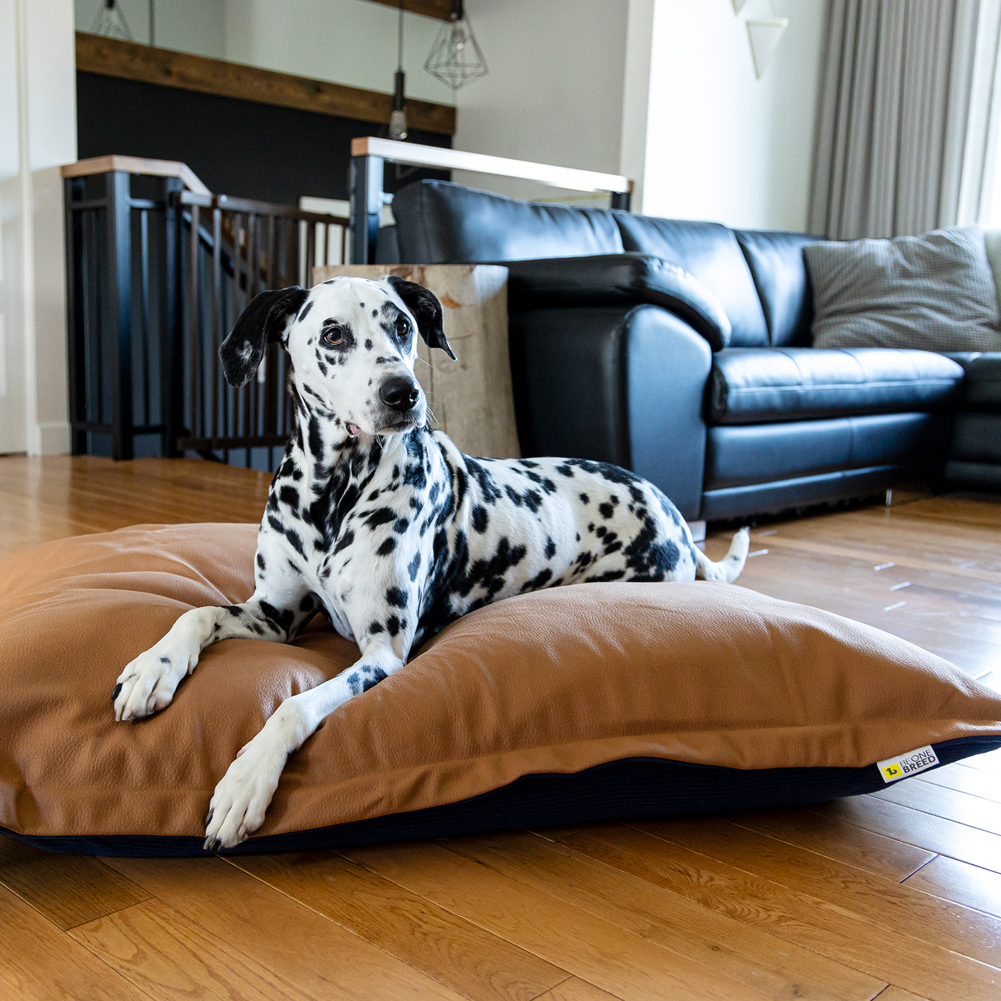 My pillow pets sales bed bath beyond