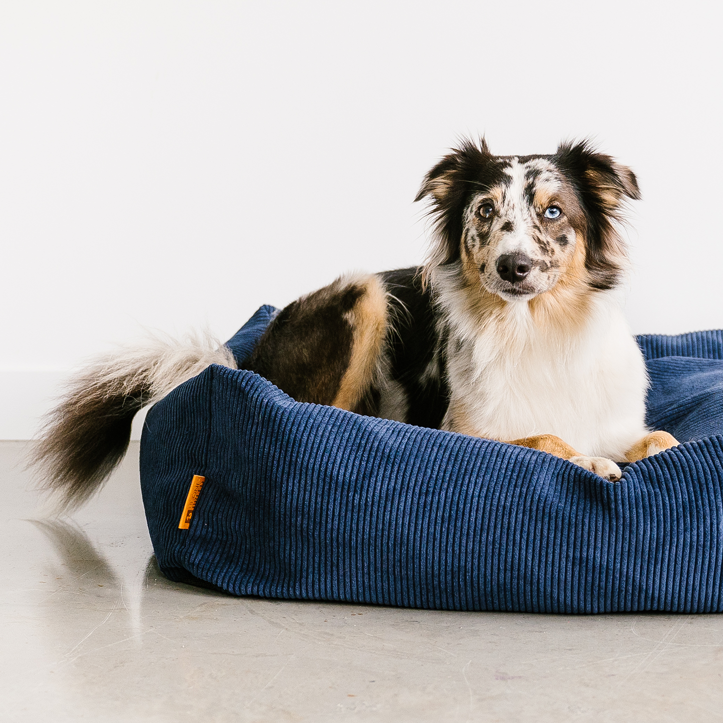 Corduroy dog bed outlet