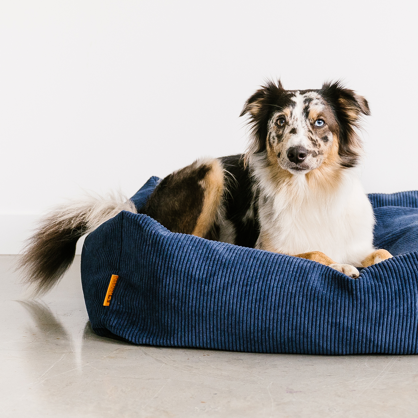 Memory foam pet bed with padded sides, corduroy maritime