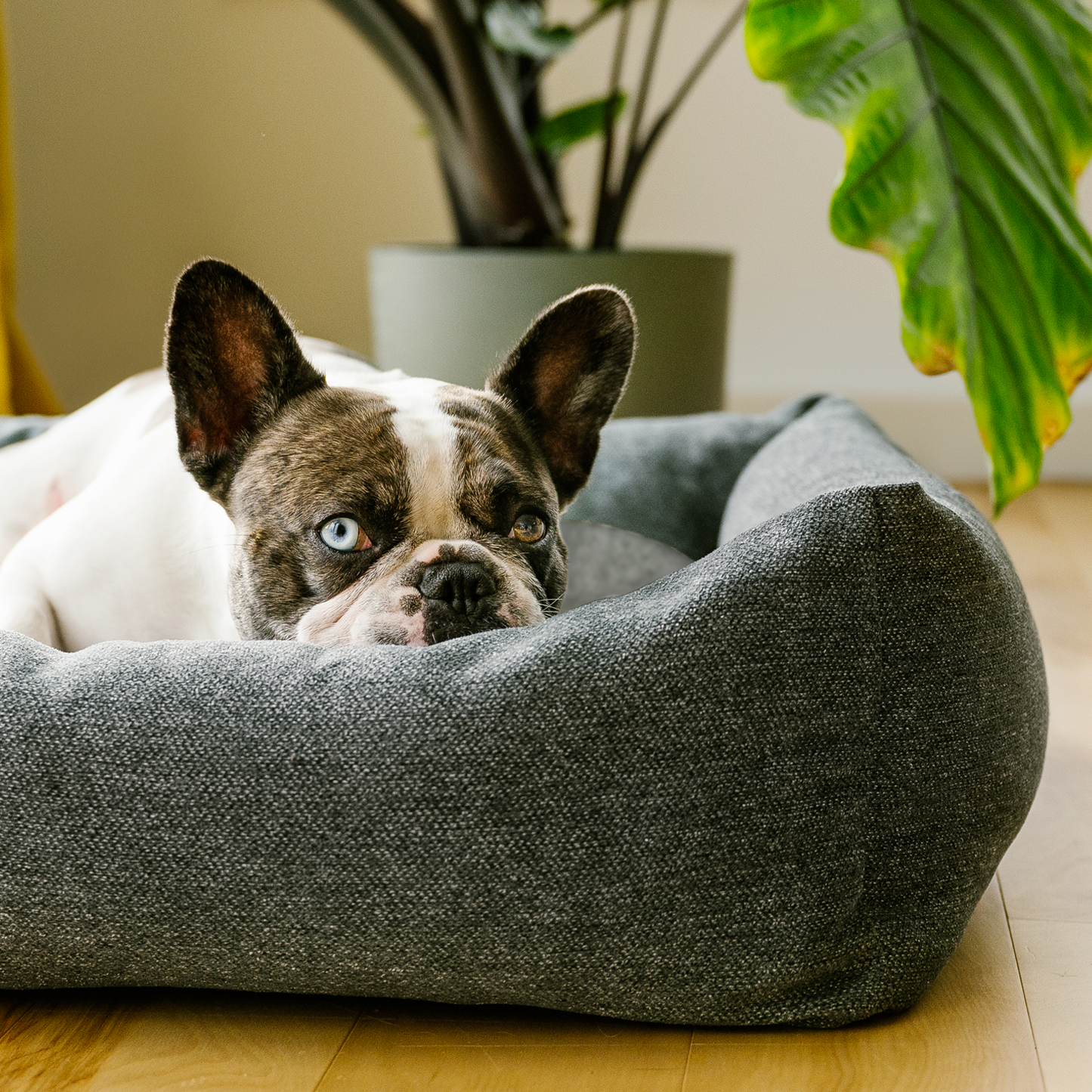 Memory foam orthopedic bolster cozy dog bed, 2 sizes