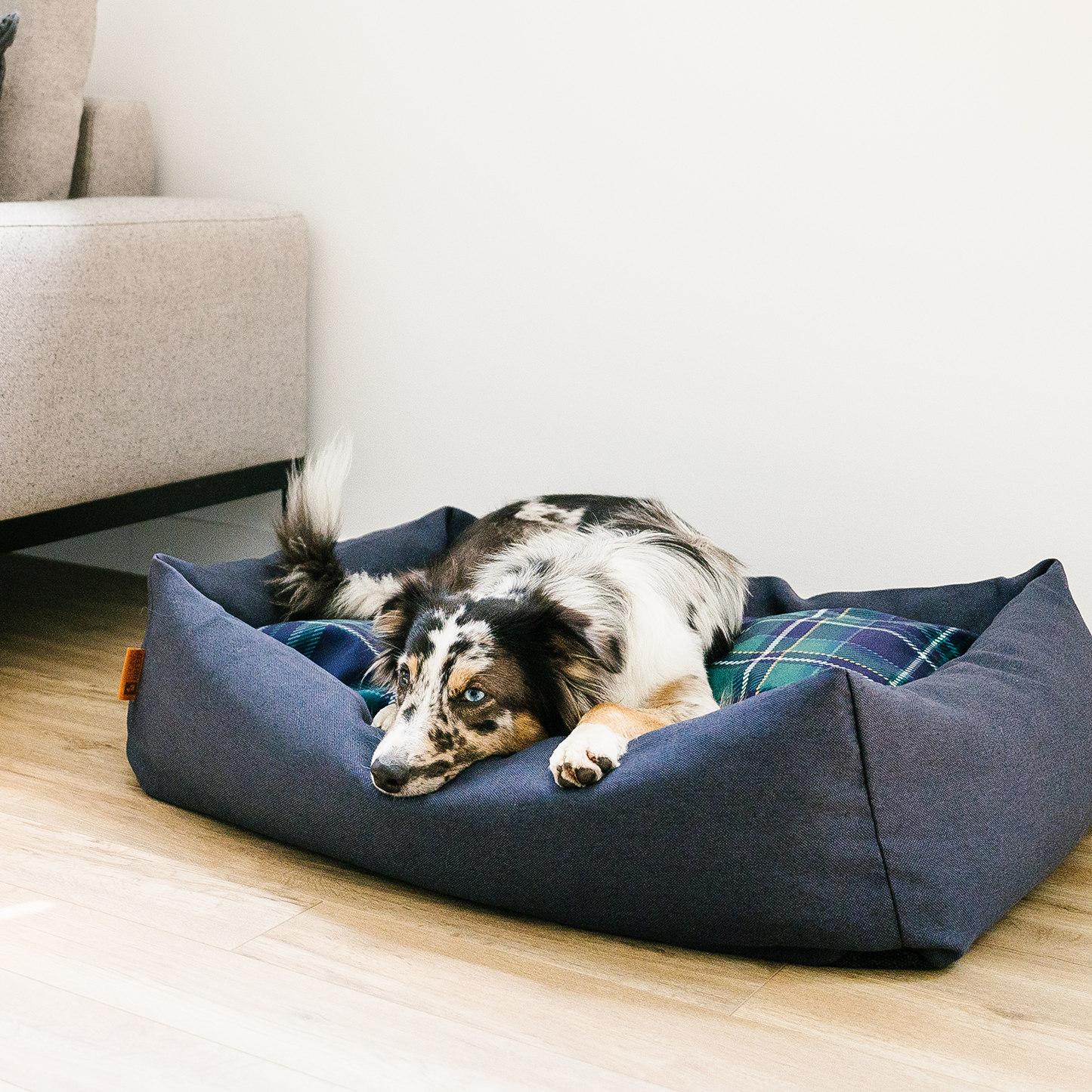 Memory foam orthopedic bolster cozy dog bed 3 sizes BeOneBreed