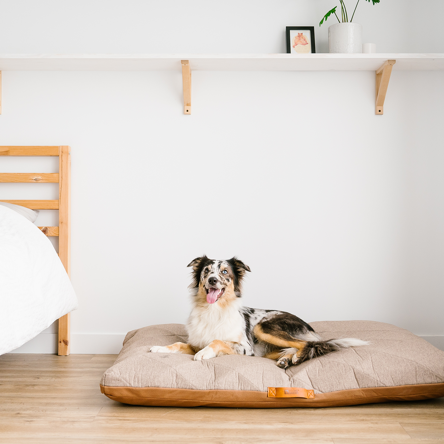Memory foam sky pet bed 2 sizes BeOneBreed