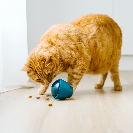 OBEE! Cat Snak treat dispensing cat toy