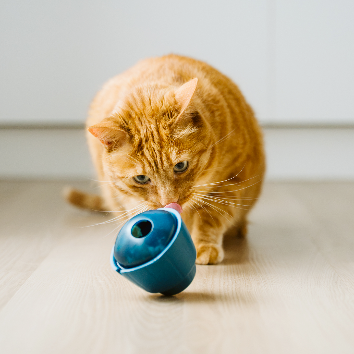 OBEE! Cat Snak treat dispensing cat toy