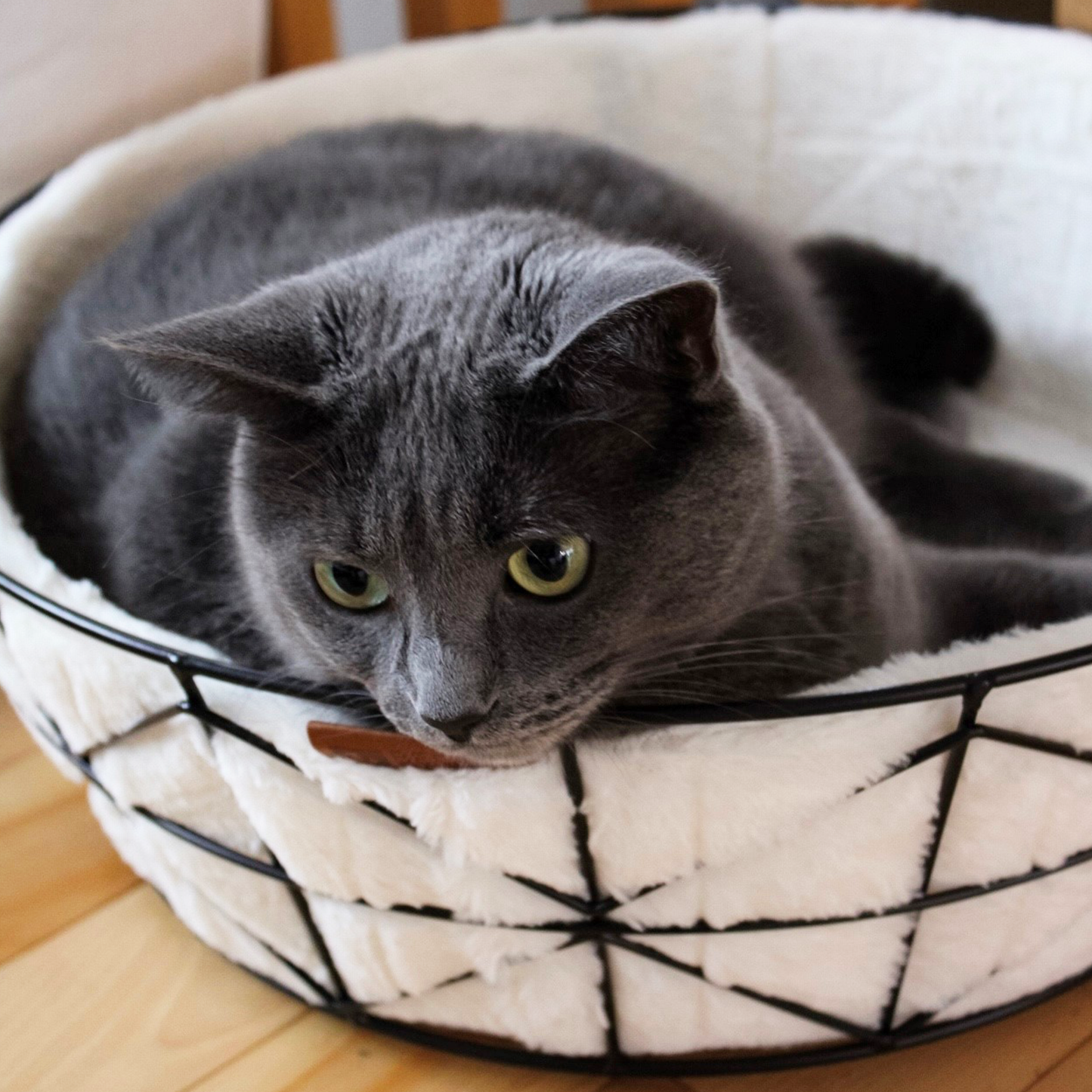 BeOneBreed,Cat, Wire Basket & Cushion - Ren's Pets