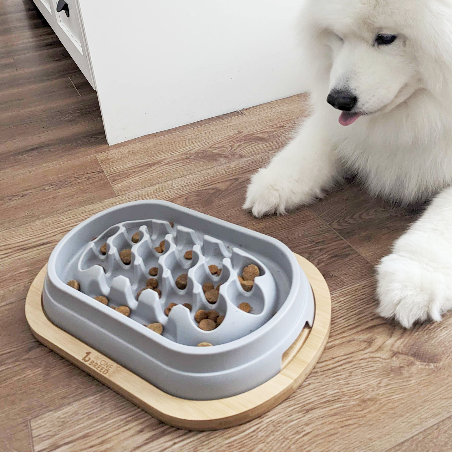 Slow feeder for dog, gray