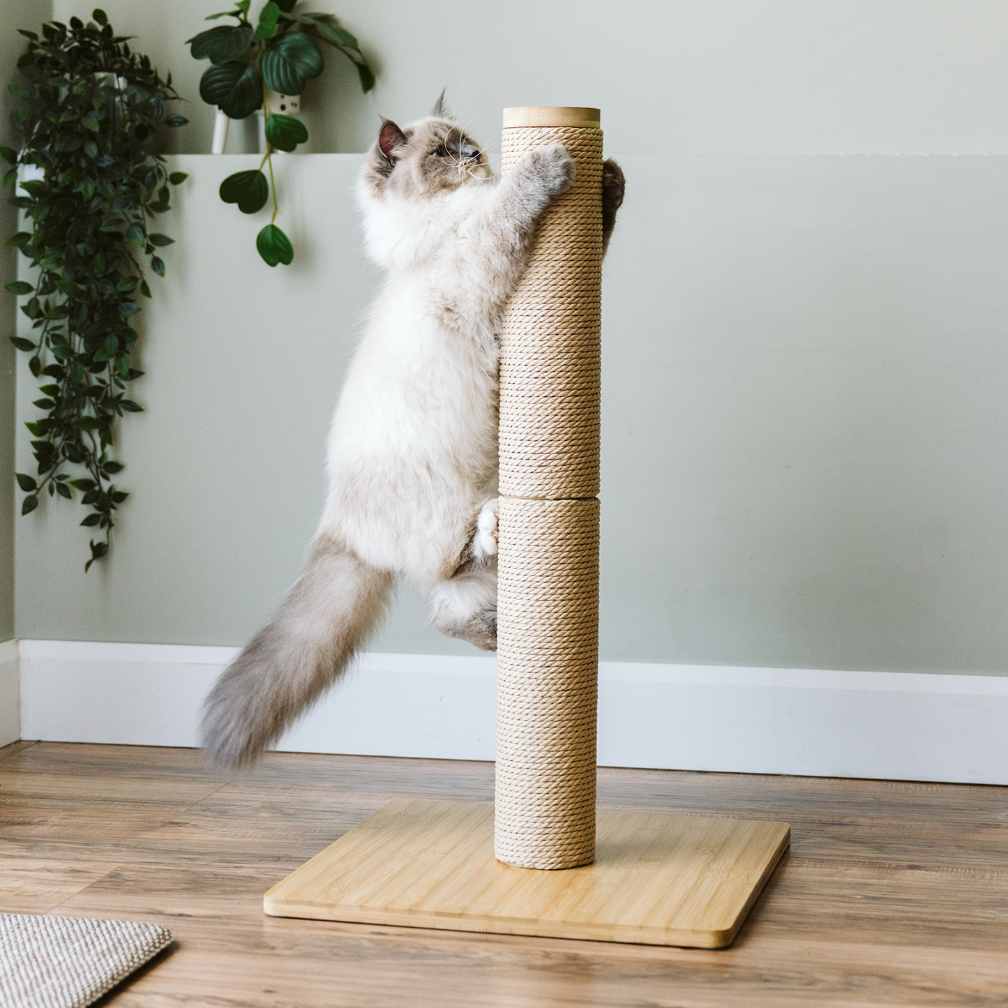 Modular paper rope scratcher