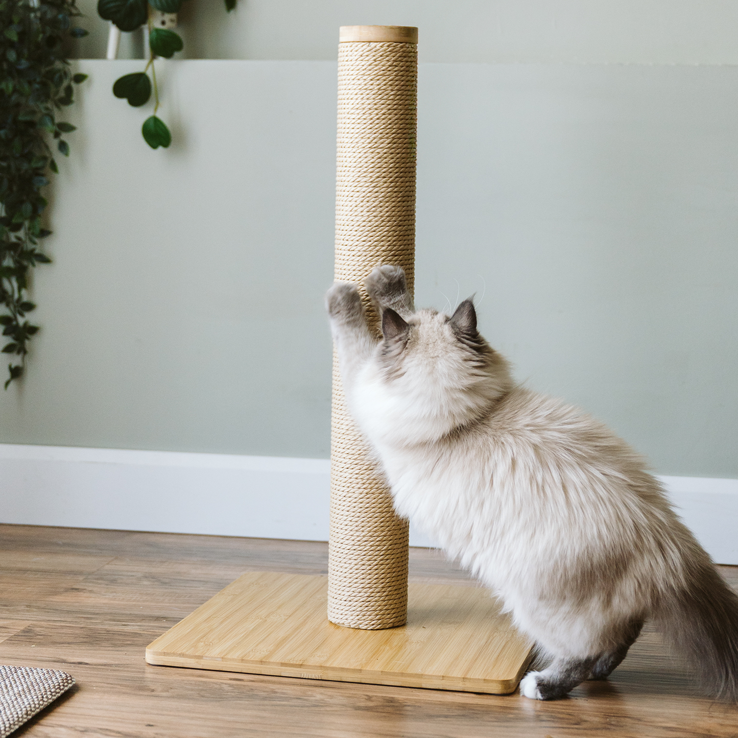 Modular paper rope scratcher