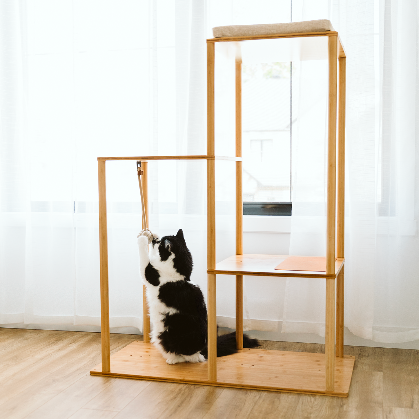 ModuKatt tree