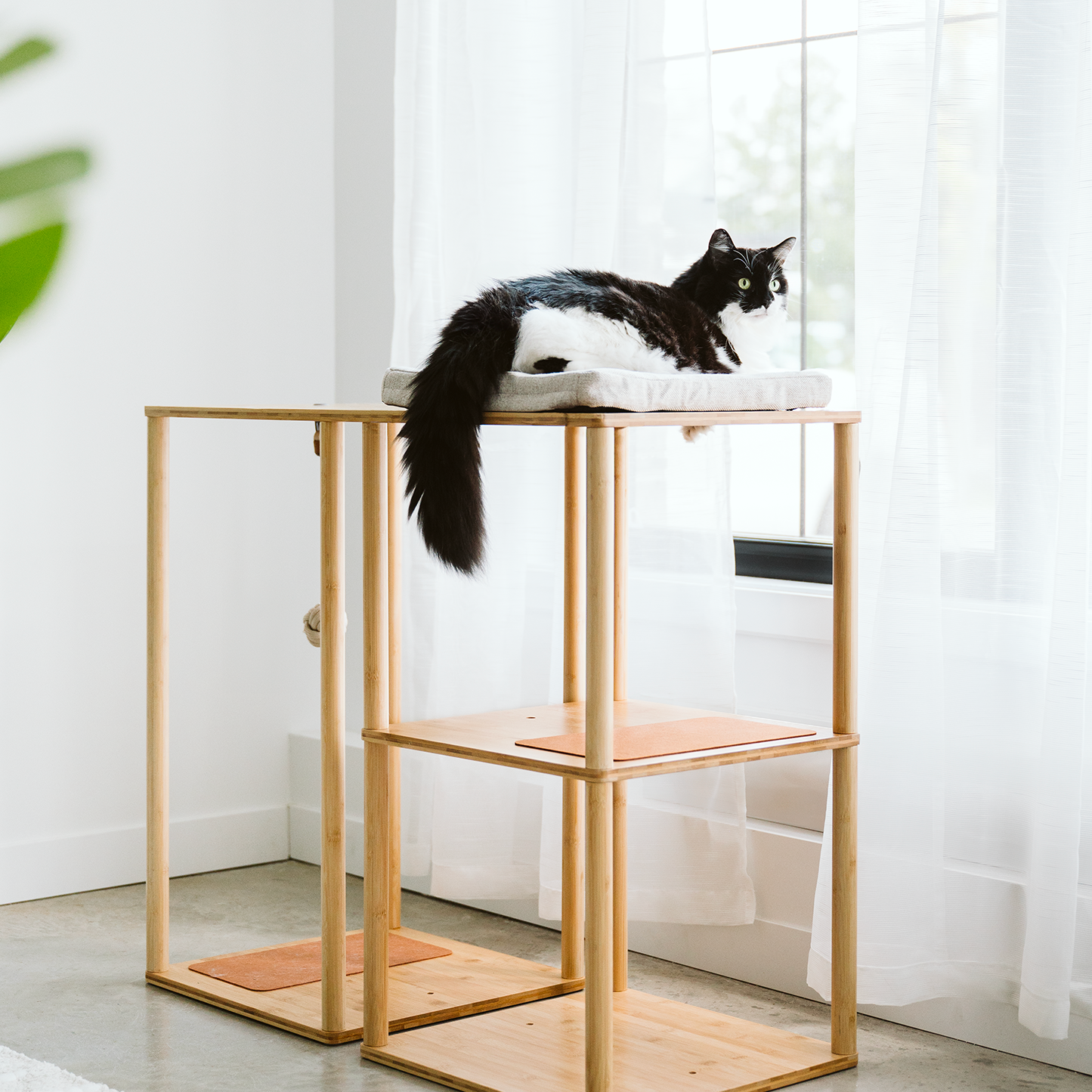 ModuKatt tree