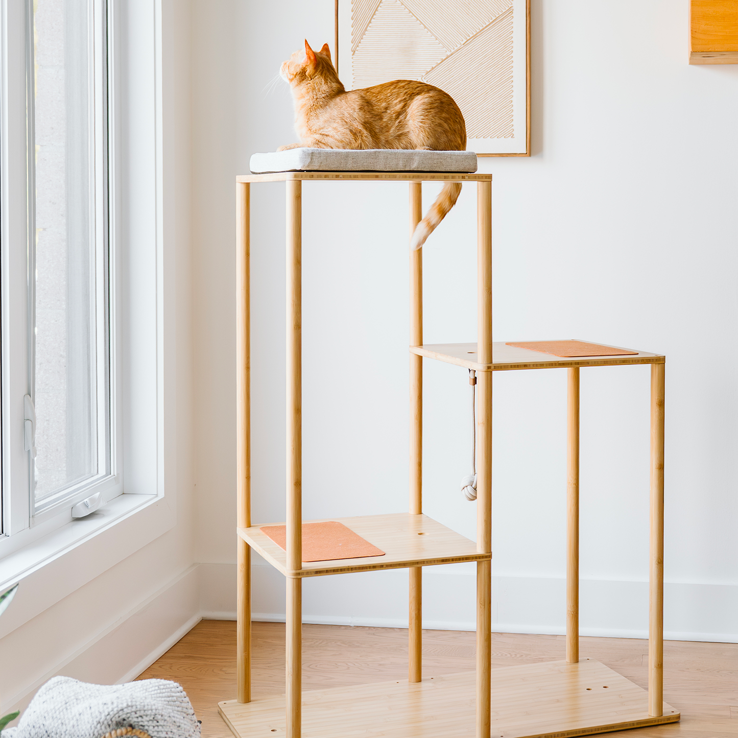 ModuKatt tree