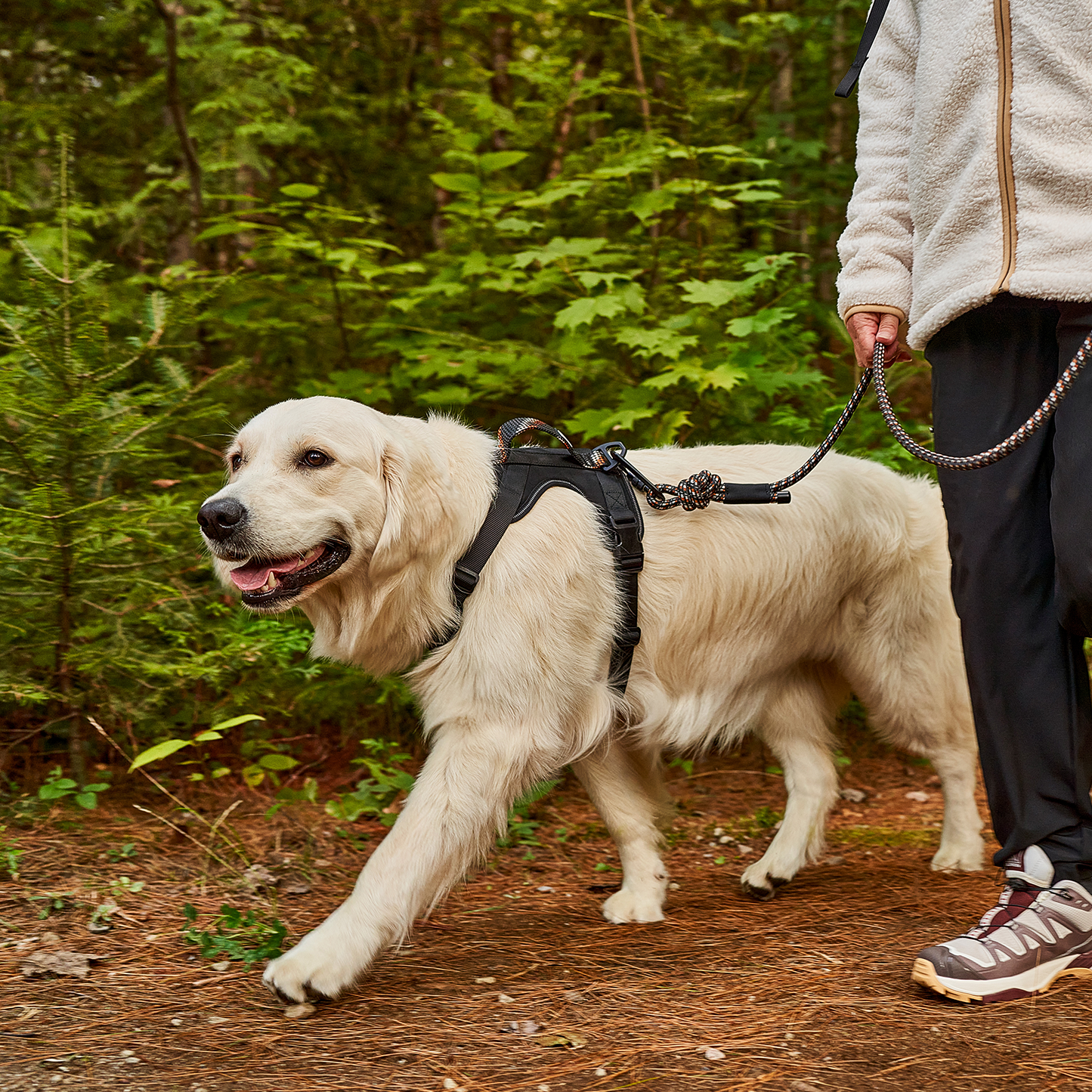 Paracord dog harness