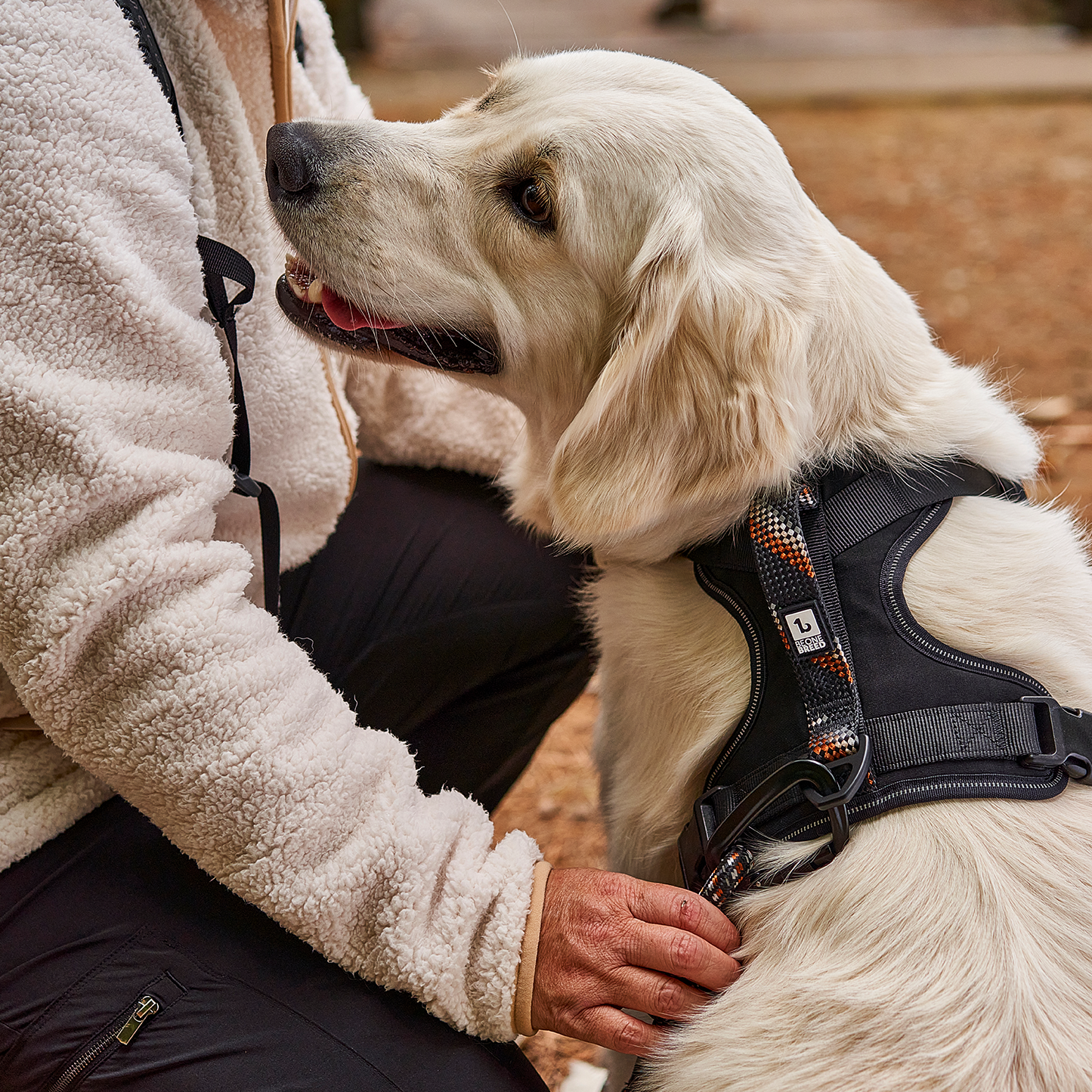 Paracord dog harness