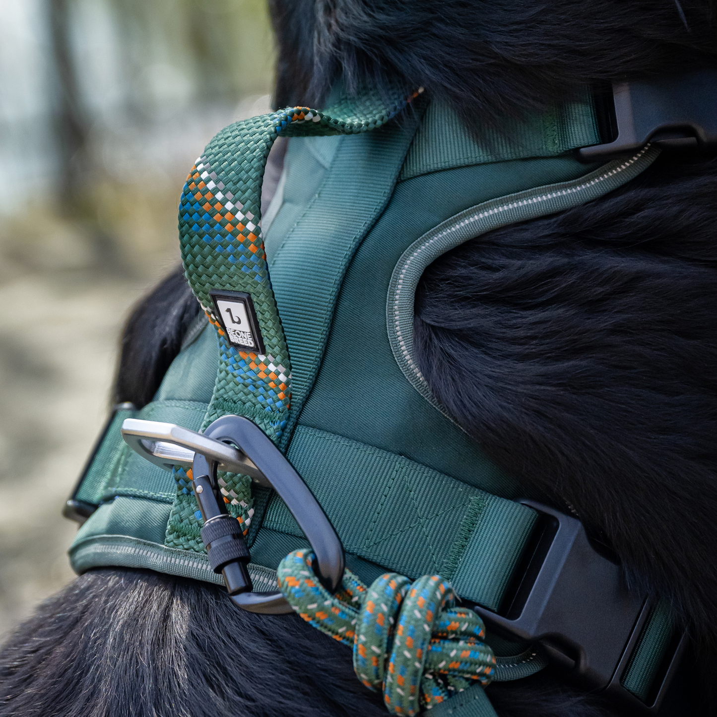 Paracord dog harness