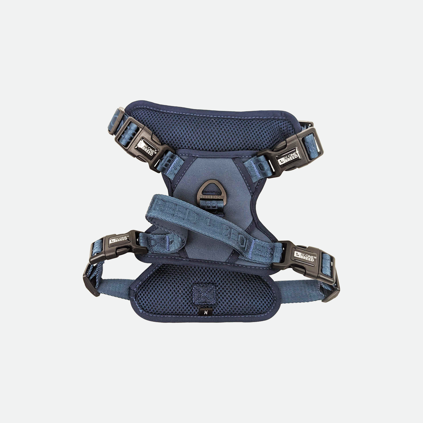 Neoprene and nylon dog harness, teal