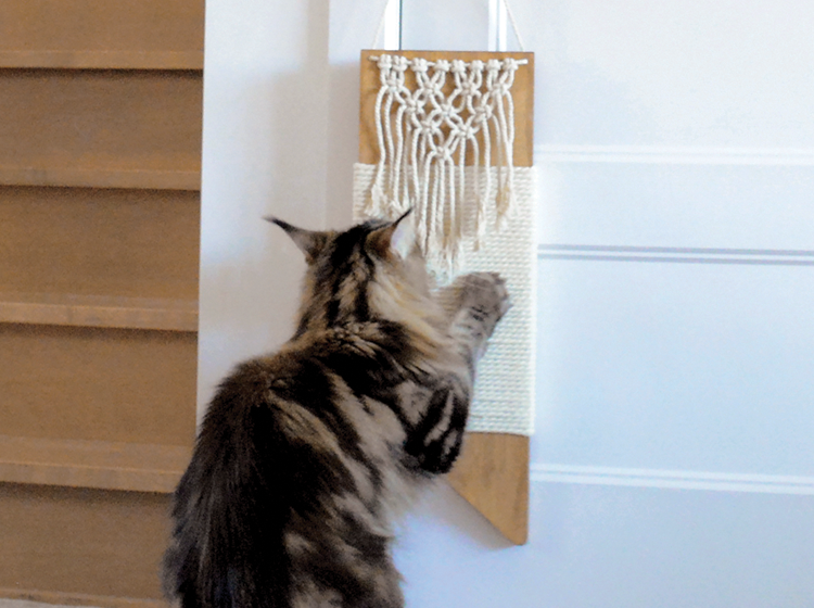 Coton rope cat scratcher to hang, wood