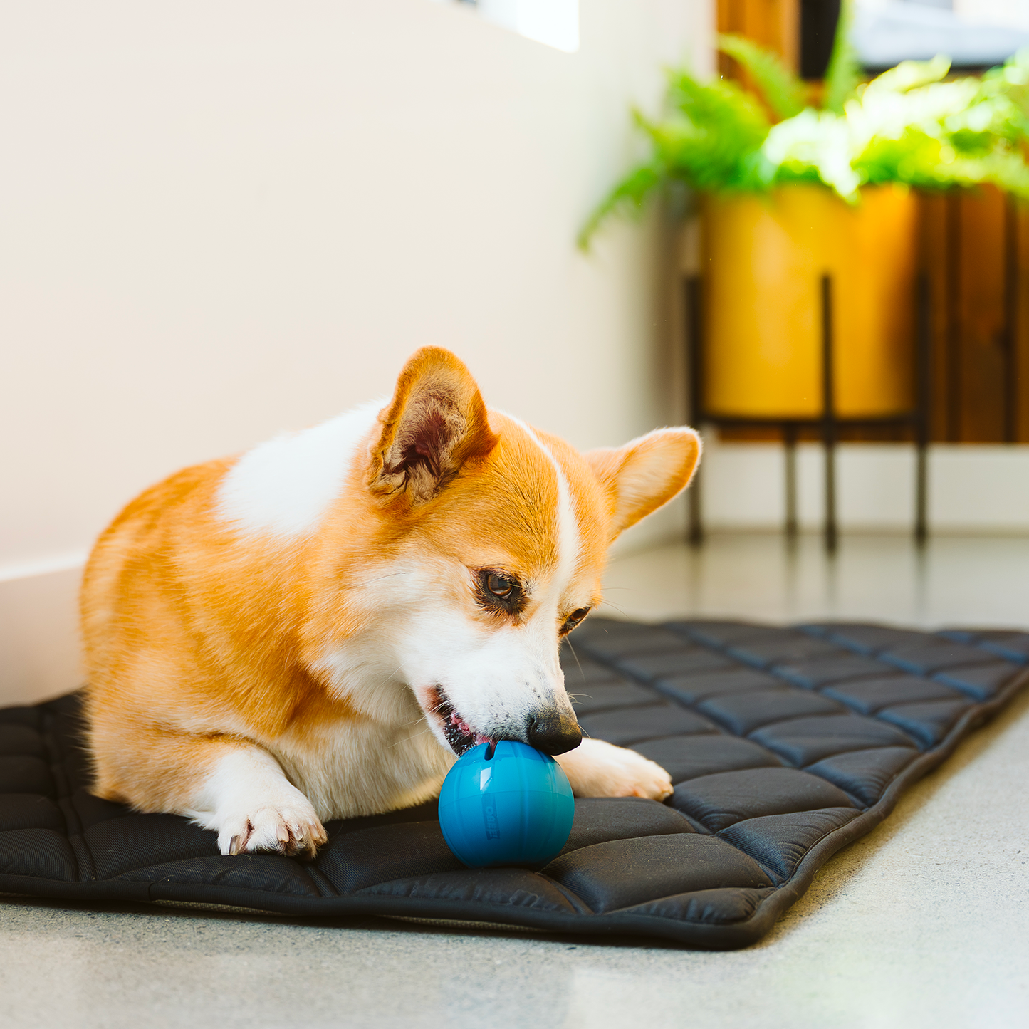 Refreshing crate mat for dog with memory foam