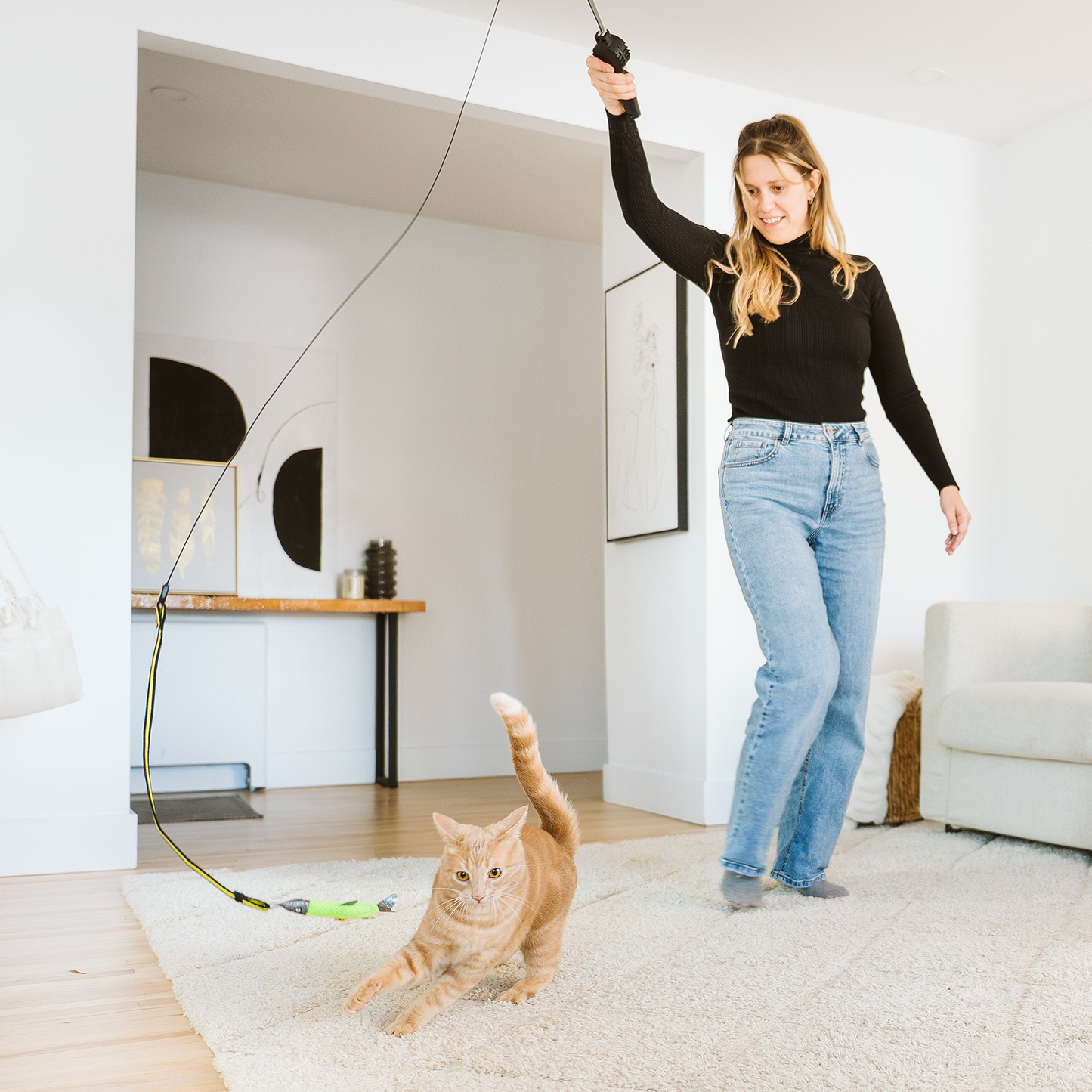 Retractable cat teaser