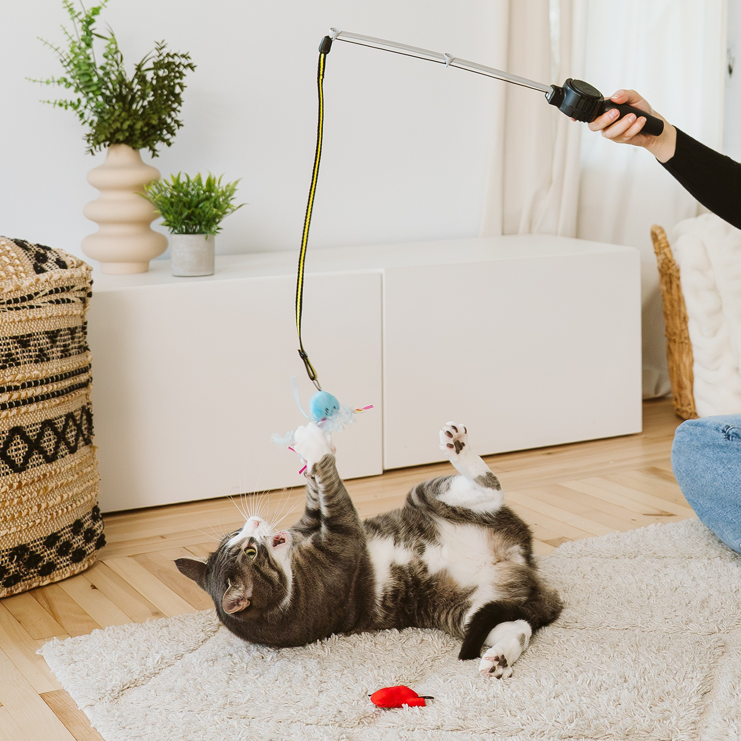 Retractable cat teaser