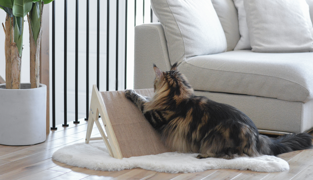 Griffoir Ovale Pour Chat En Sisal - 2 En 1 Grattoir Et Lit, 41x31cm, Base Antidérapante - 2
