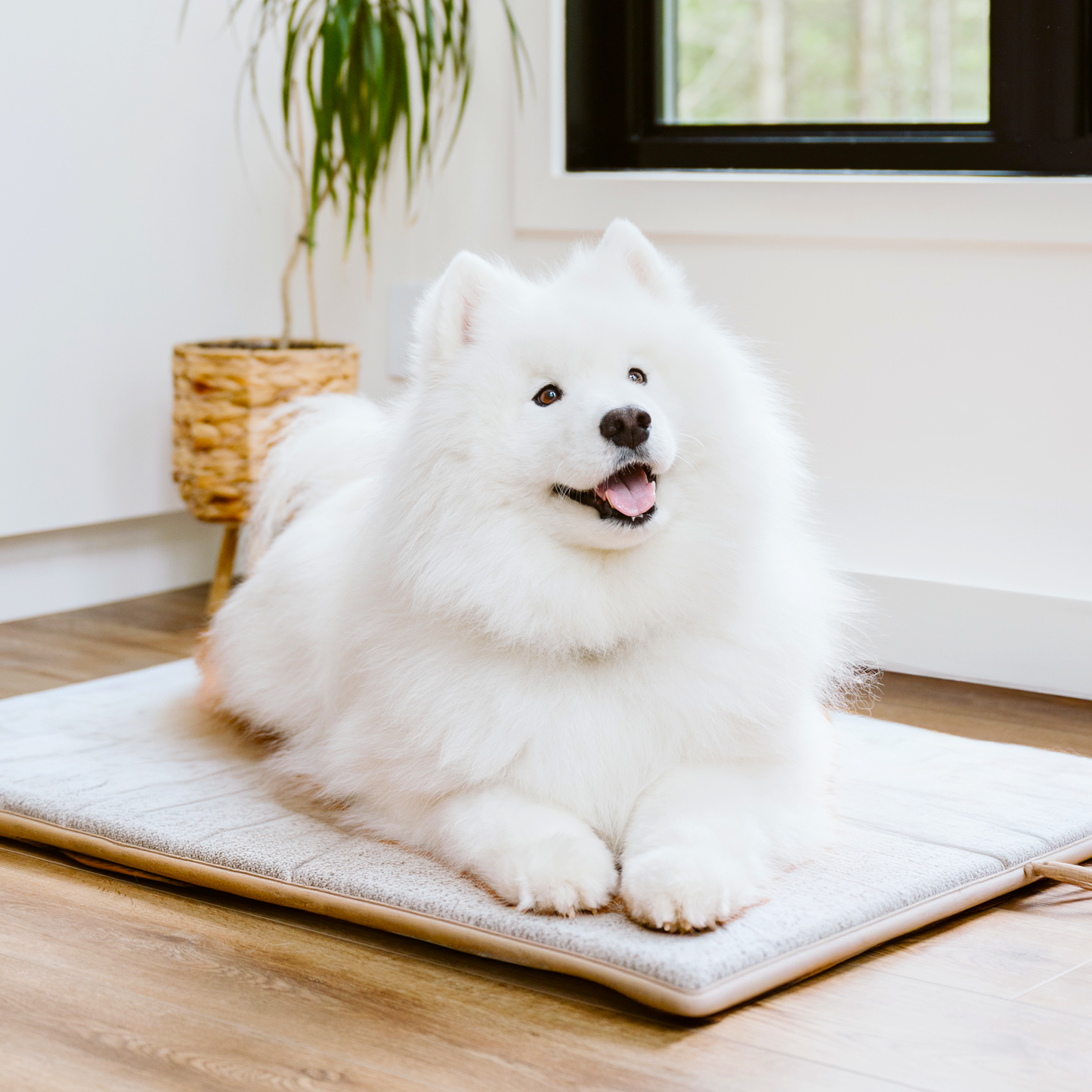 Tapis de luxe réversible, 2 tailles