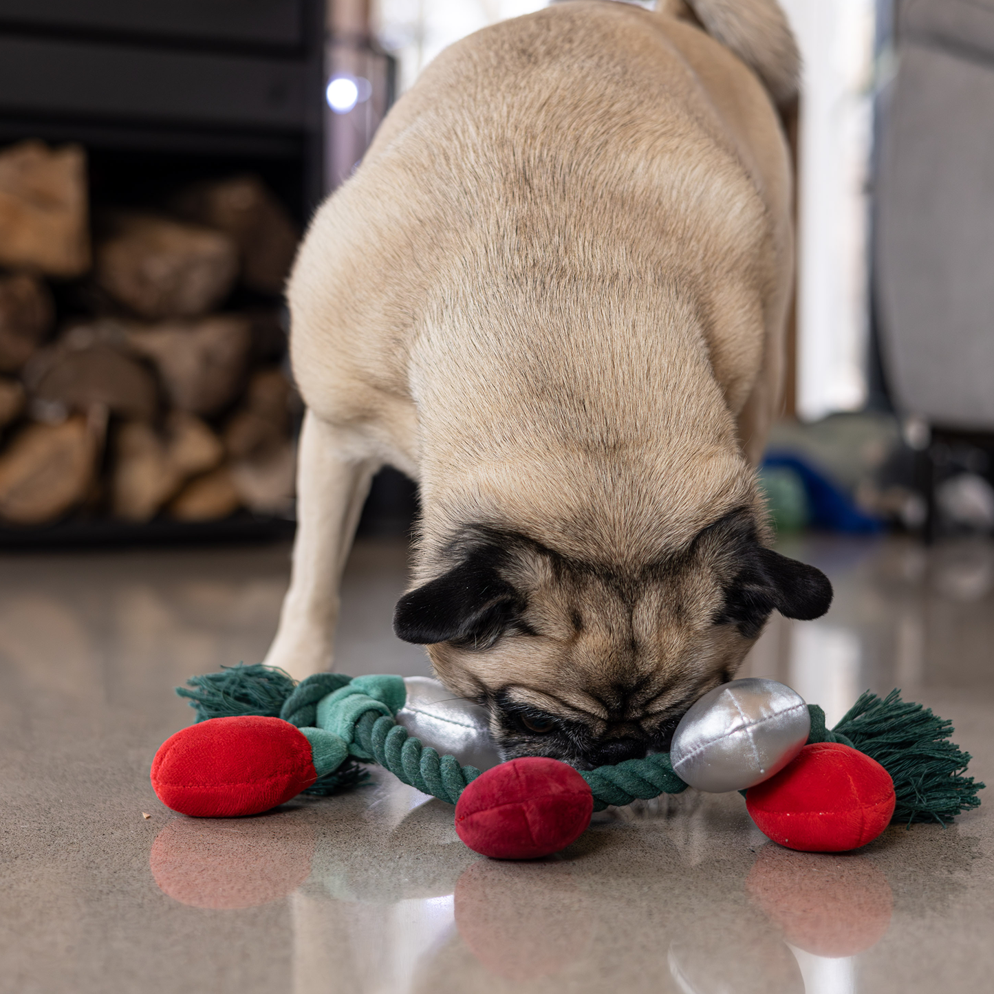 Rope skeleton dog toy