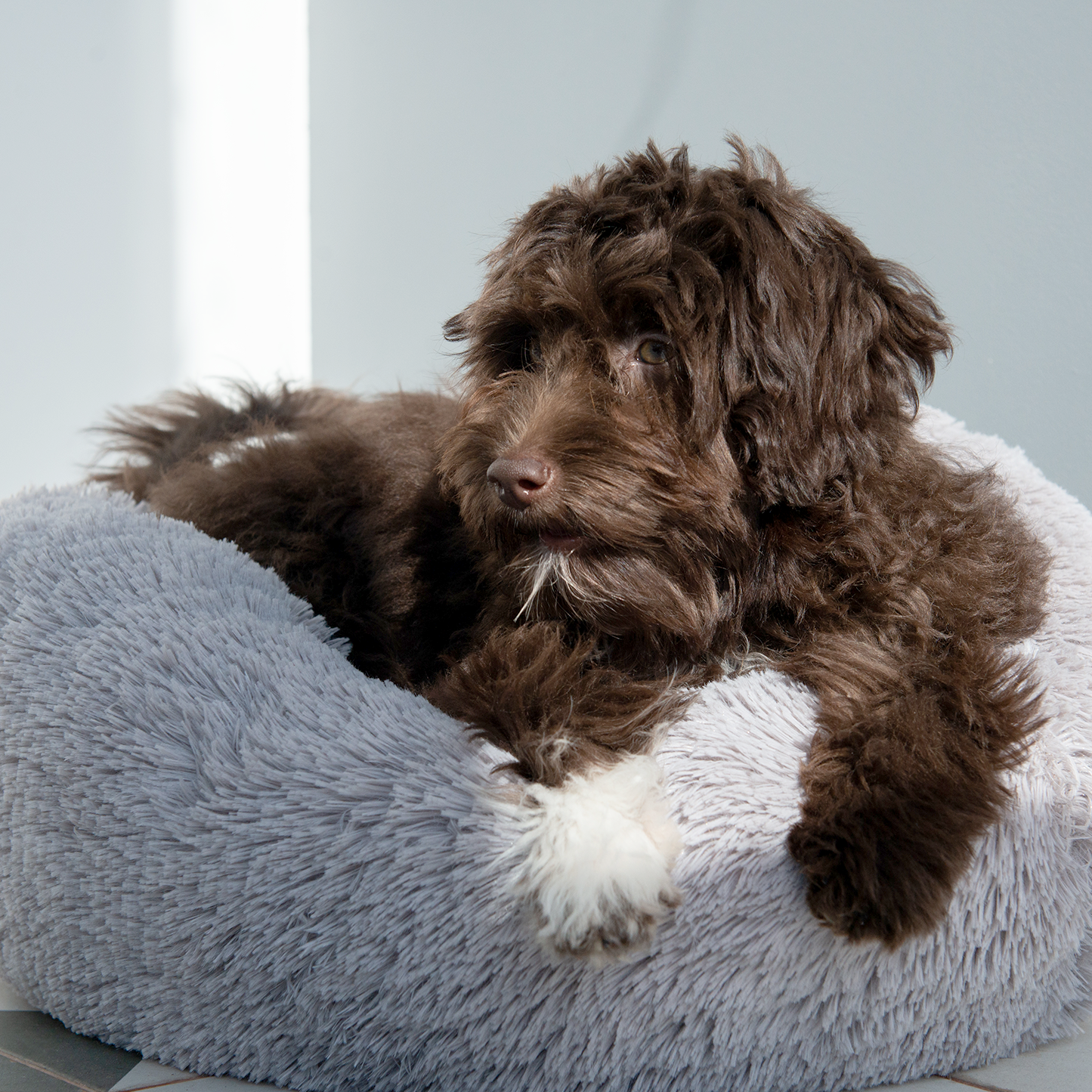 Calming shaggy bed BeOneBreed