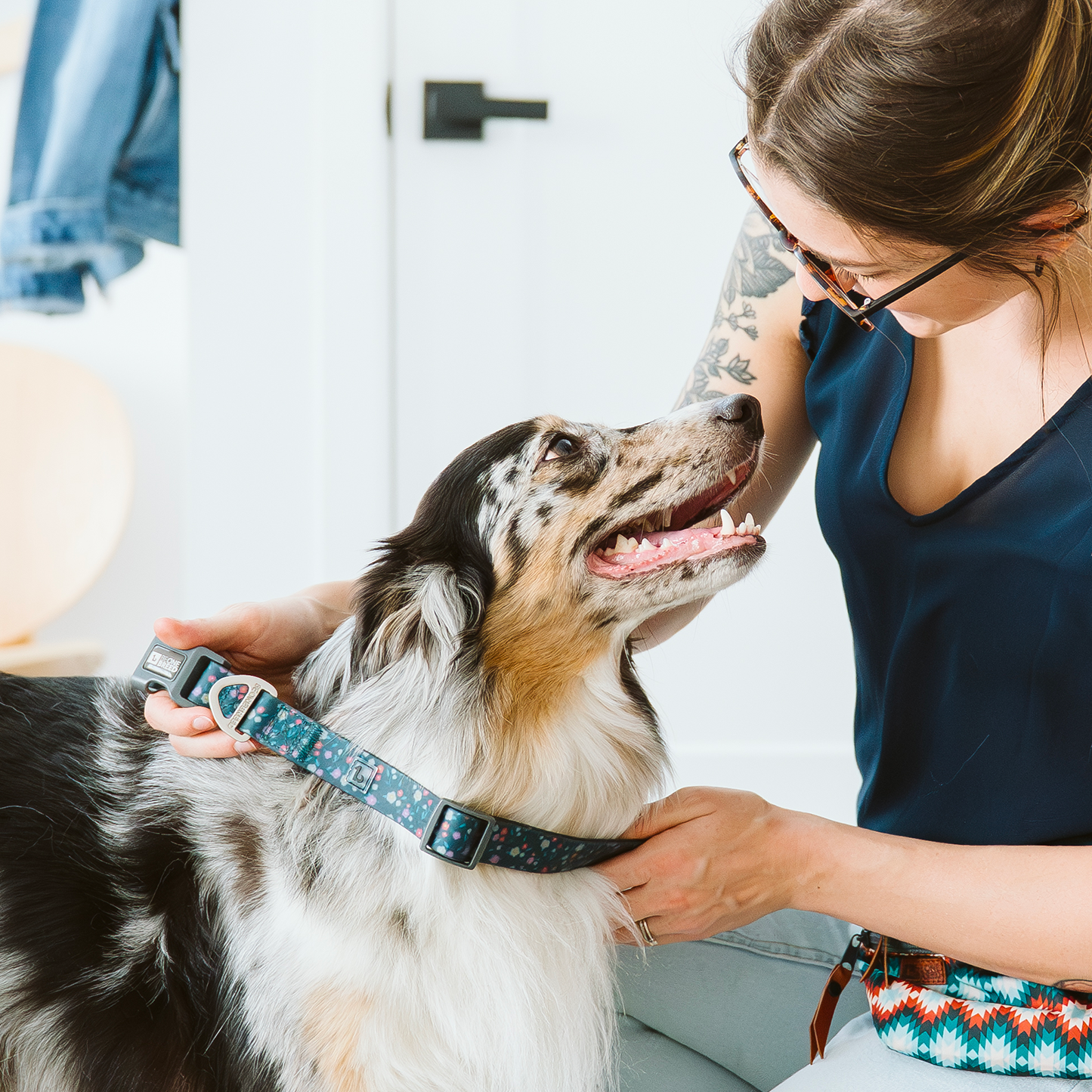 Collier en silicone anti-odeurs pour chien